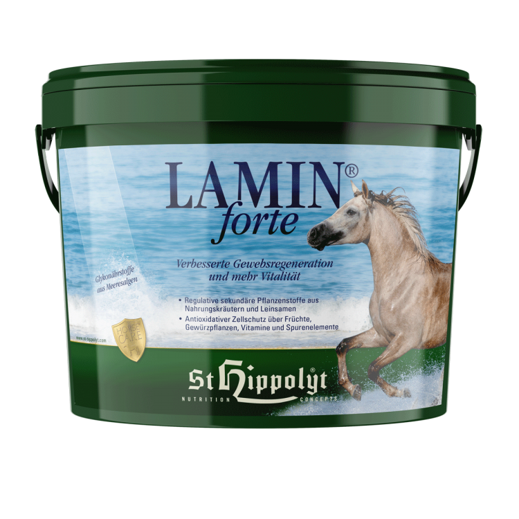 Lamin Forte 3 Kg